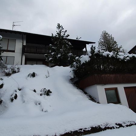 Haus Panorama Mit Alpenblick Villa Kleines Wiesental Exterior photo